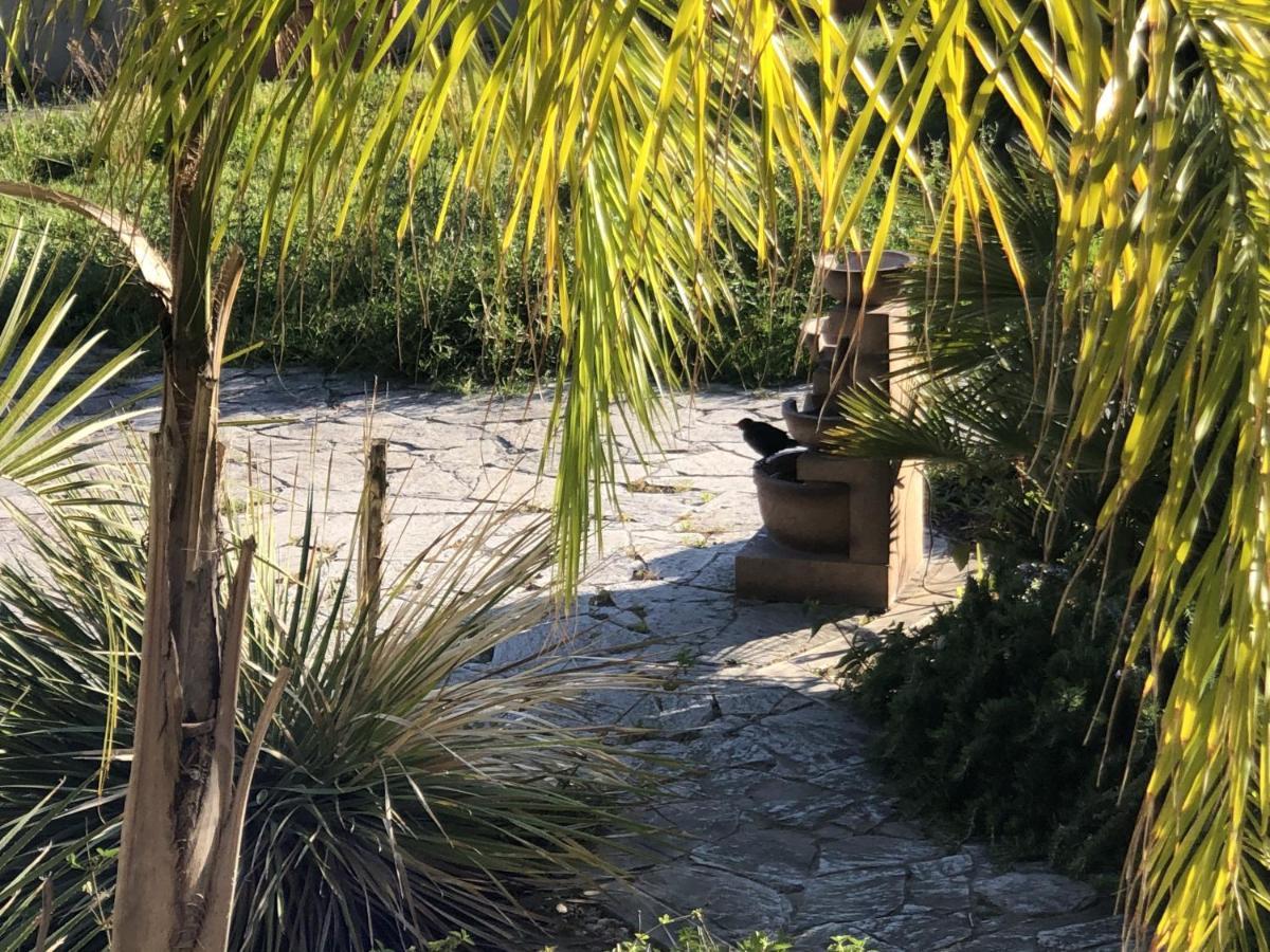 Il Giardino Di Adriana B&B Terracina Esterno foto