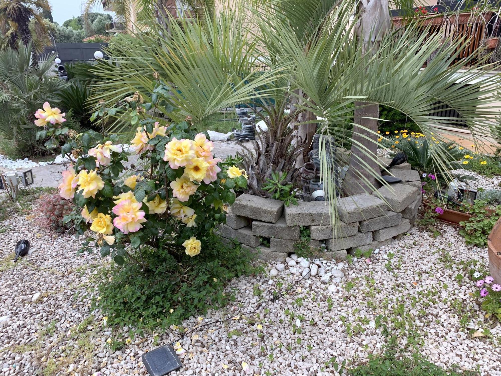 Il Giardino Di Adriana B&B Terracina Esterno foto