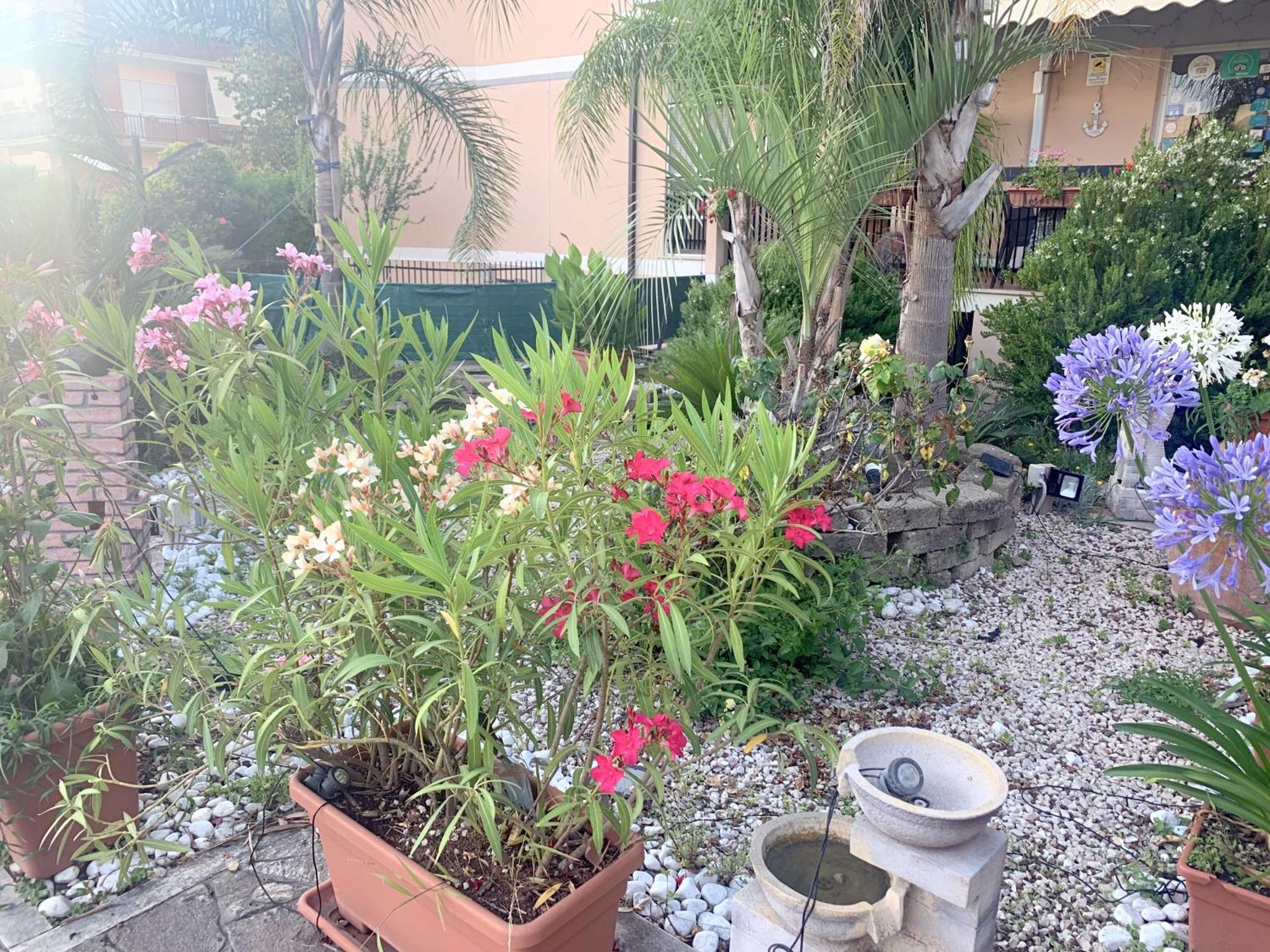 Il Giardino Di Adriana B&B Terracina Esterno foto