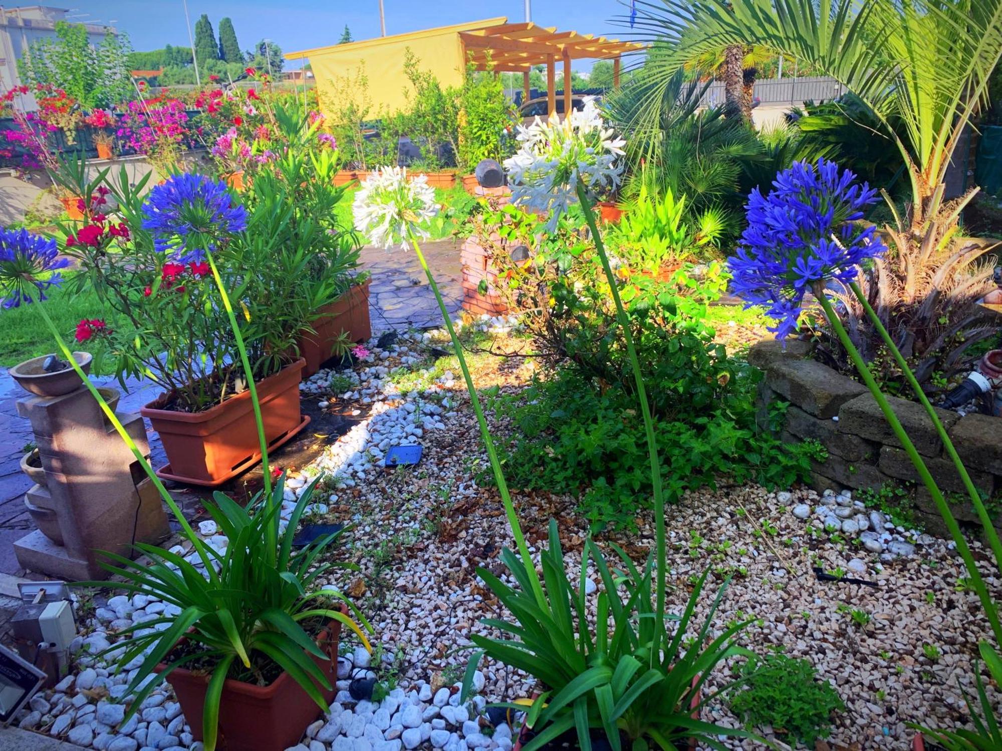 Il Giardino Di Adriana B&B Terracina Esterno foto
